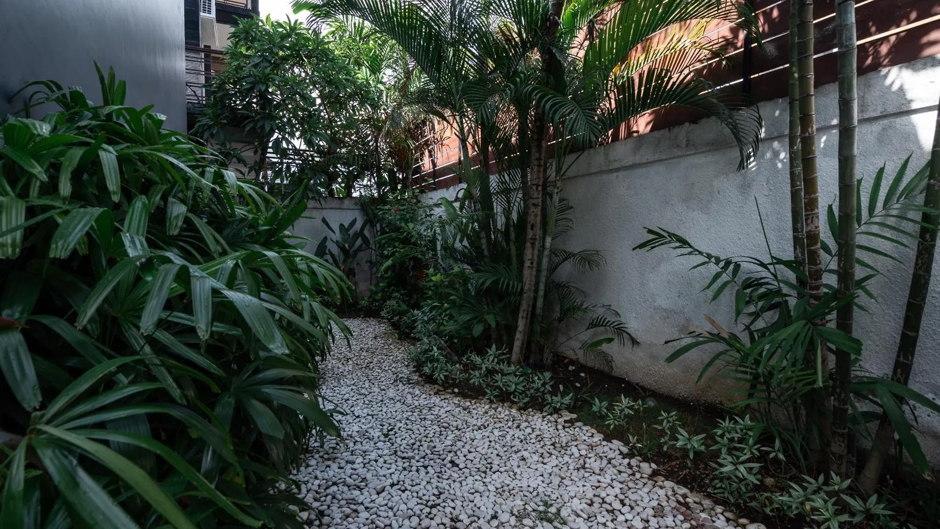 Bali Huis Villa 塞米亚克 印尼